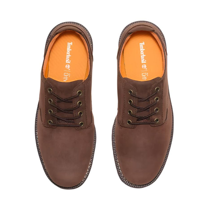 Timberland Mens Redwood Falls Lace-Up Waterproof Shoe