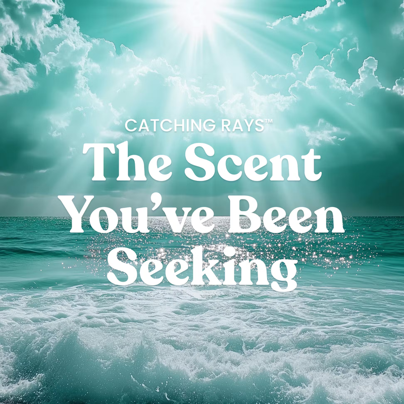 Yankee Candle Original Large Jar Candle - Catching Rays