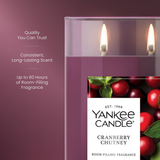Yankee Candle Large Tumbler Candle - Cranberry Chutney