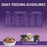 Zignature Puppy Formula Wet Dog Food - 13 oz.