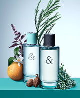 Tiffany & Co. Tiffany & Love For Her Eau De Parfum Spray - 1.6 oz.
