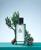 Tiffany & Co. Tiffany & Love For Him Eau De Toilette Spray - 1.6 oz.