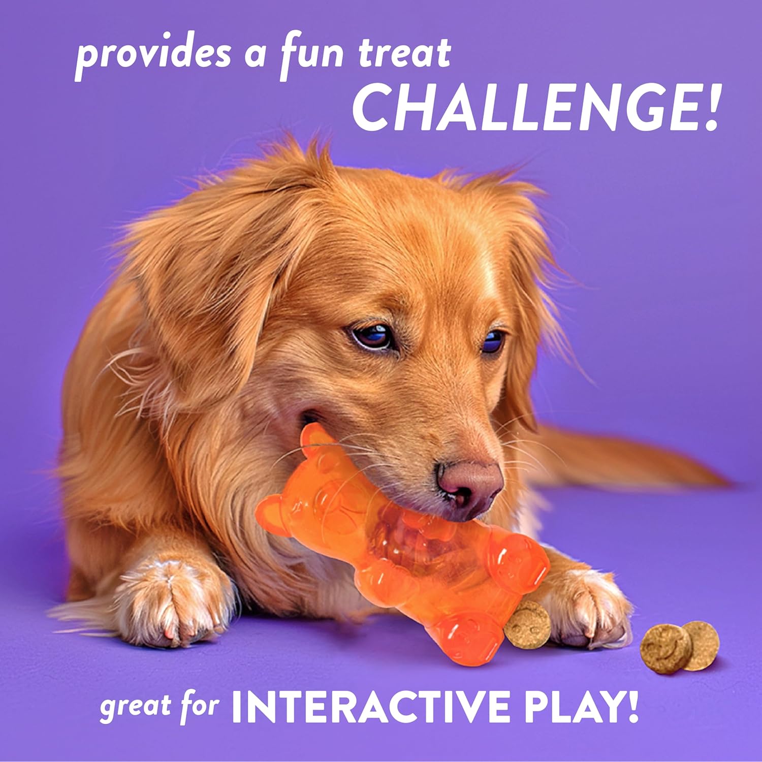 Spunky Pup Spunky Bear Interactive Dog Toy with Treats - Large
