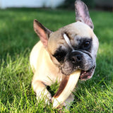 Spunky Pup Snack & Chew Antler Flavored Dog Chew Toy