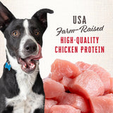 Wholesomes Rewards Large Originals Biscuit Dog Treats - 3 lbs.