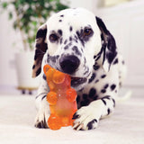 Spunky Pup Spunky Bear Interactive Dog Toy with Treats - Medium