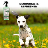 Wahl Doggie Deodorant Spray - Eucalyptus Spearmint