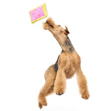 BARK Toaster Poodle Plush Dog Toy