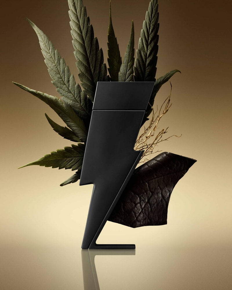 Carolina Herrera Bad Boy Le Parfum Spray - 1.7 oz.