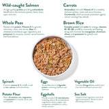 Portland Pet Food Company Wally's Salmon N' Rice Homestyle Dog Meal Pouch - 9 oz.