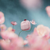 Bose SoundLink Micro II Portable Bluetooth Speaker