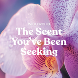 Yankee Candle Original Large Jar - Wild Orchid