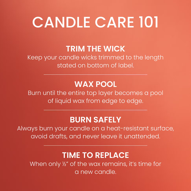 Yankee Candle Original Large Jar Candle - Spiced Pumpkin