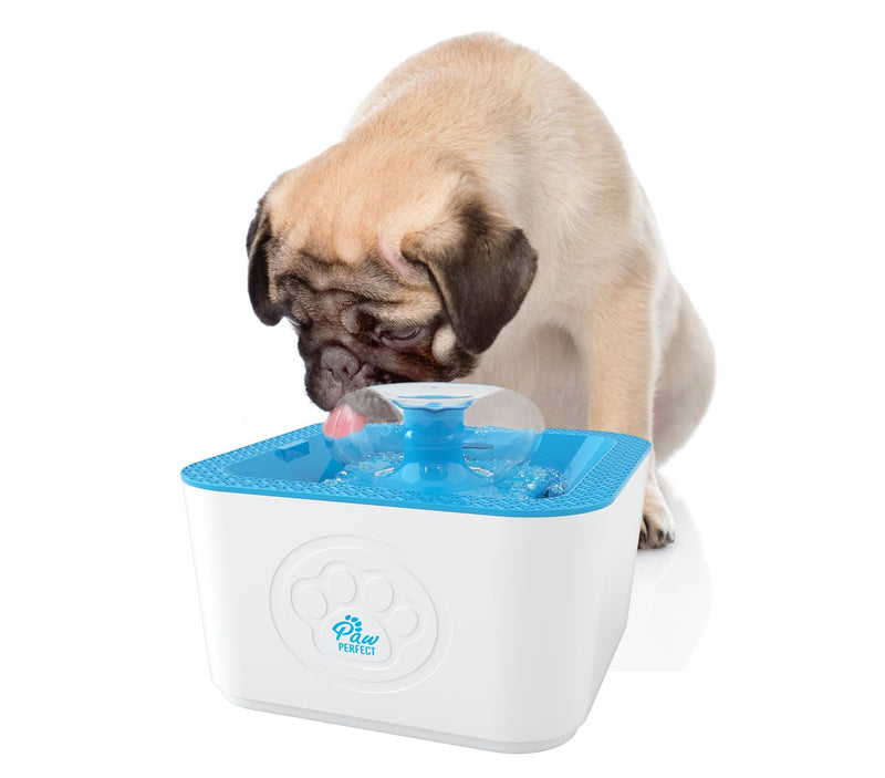 Paw Perfect Pet Water Fountain