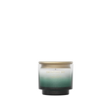 Chesapeake Bay Candle Small Candle - Coastal Snowfall