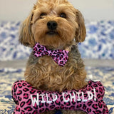 Huxley & Kent Pink Leopard Bow Tie - Small