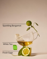 Bath & Body Works Wallflowers Refills 2-Pack - White Tea & Sage
