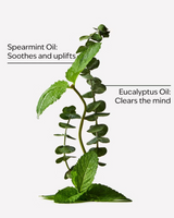 Bath & Body Works Aromatherapy Moisturizing Body Lotion - Eucalyptus Spearmint