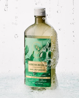 Bath & Body Works Aromatherapy Body Wash & Foam Bath - Eucalyptus Spearmint