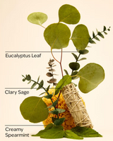 Bath & Body Works Aromatherapy Essential Oil Mist - Eucalyptus Spearmint