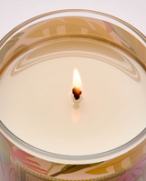 Bath & Body Works Single Wick Candle - Coconut Pina Colada