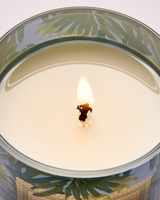 Bath & Body Works Single Wick Candle - Warm Ocean Breeze