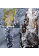 Rabanne Invictus Platinum Eau de Parfum 3-Piece Gift Set