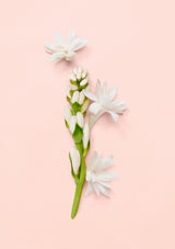 Gucci Bloom Eau De Parfum 3-Piece Gift Set
