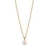 Nadri 8mm Genuine Freshwater Pearl & Pave Cubic Zirconia Pendant Necklace