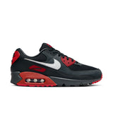 Nike Mens Air Max 90 Shoes