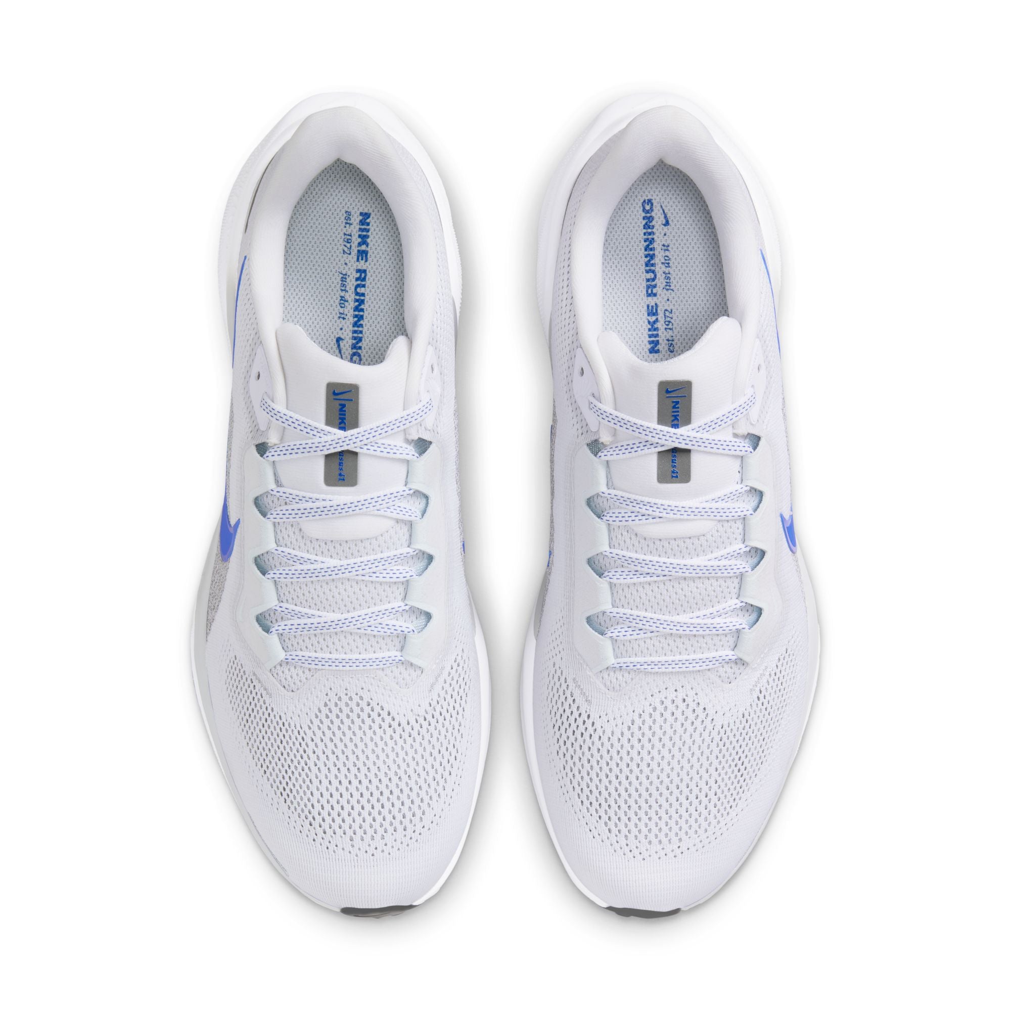 Nike Mens Pegasus 41 Running Shoes