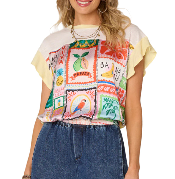 Democracy Womens Extended Cap Sleeve Scoop Neck Color Block Print Mixed Media Knit Top
