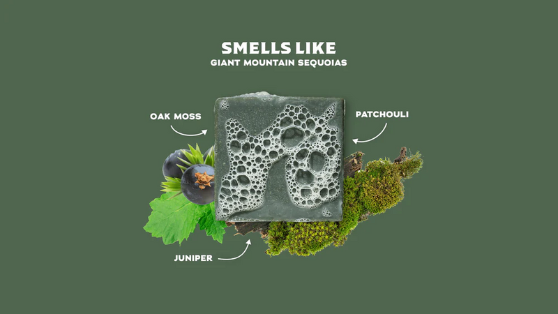 Dr. Squatch Sierra Storm Bar Soap - 5 oz.