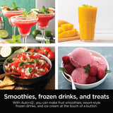 Ninja Professional Plus Blender With Auto-iQ