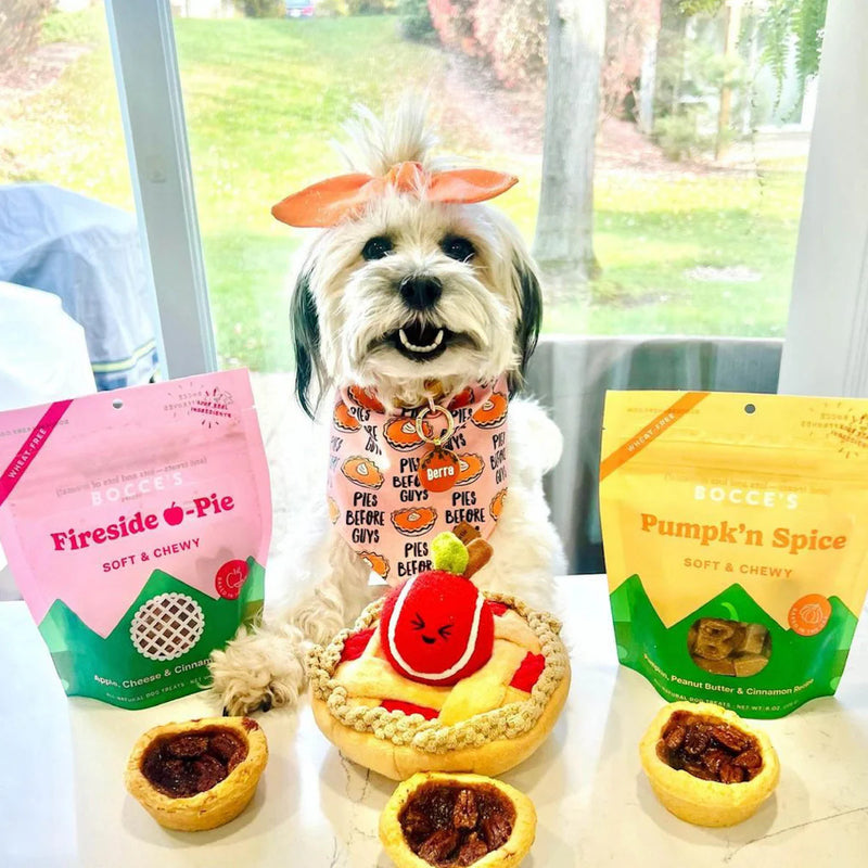 Bocce's Bakery Fireside Apple Pie Soft & Chewy Dog Treats - 6 oz.