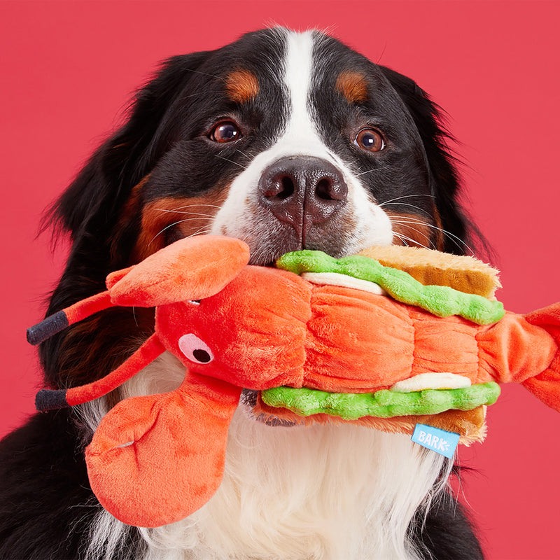 BARK Max's Maine Lobster Roll Plush Dog Toy