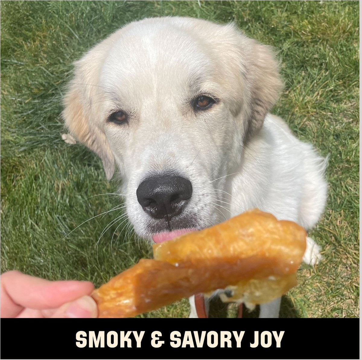 Barkworthies Smoked Chicken Fillet Dog Treats - 4 oz.