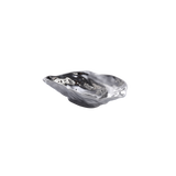 Pampa Bay Small Oyster Bowl