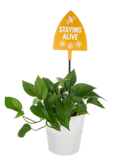Ganz Shovel Plant Pick with Text