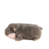 Warmies Baby Pygmy Hippo Warmies Plush Toy