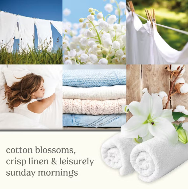 Yankee Candle ScentPlug Refill - Clean Cotton