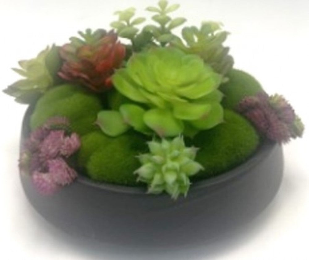 Concepts In Time 9.5"x6" Faux Succulent Garden in Black Cement Pot