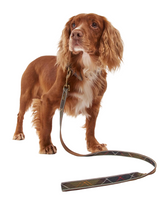 Barbour Reflective Tartan Dog Lead