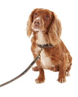 Barbour Reflective Tartan Dog Lead