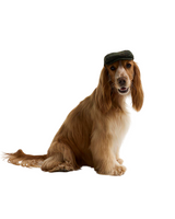 Barbour Wilkin Dog Flat Cap