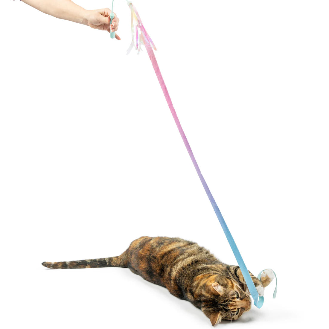 Huxley Kent Dance Lure Cat Wand Toy