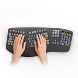 Adesso EasyTouch 1500 Wireless/Bluetooth/USB Multi OS 2X Large Print Illuminated Ergonomic Mechanical Keyboard