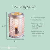 Candle Warmers Etc. Chicken Wire Vintage Bulb Illumination Fragrance Warmer