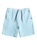 Quiksilver Mens Ocean Elastic Amphibian 18" Shorts
