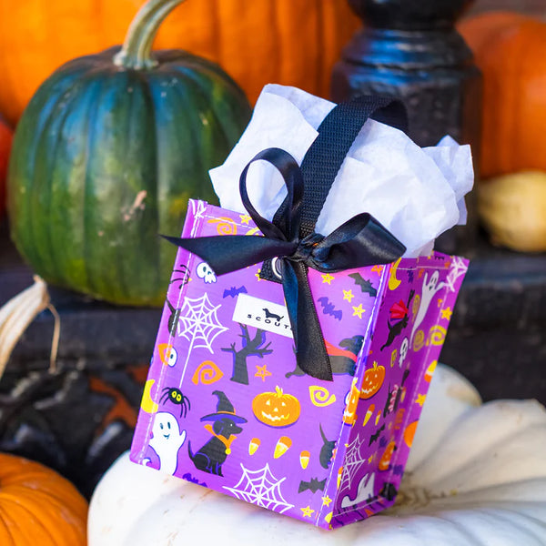 SCOUT Mini Package X-Small Gift Bag